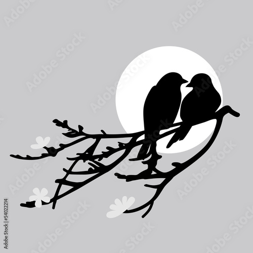 Two birds