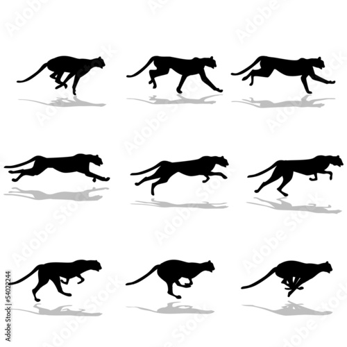 Guepard