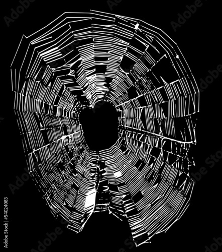 Spider web