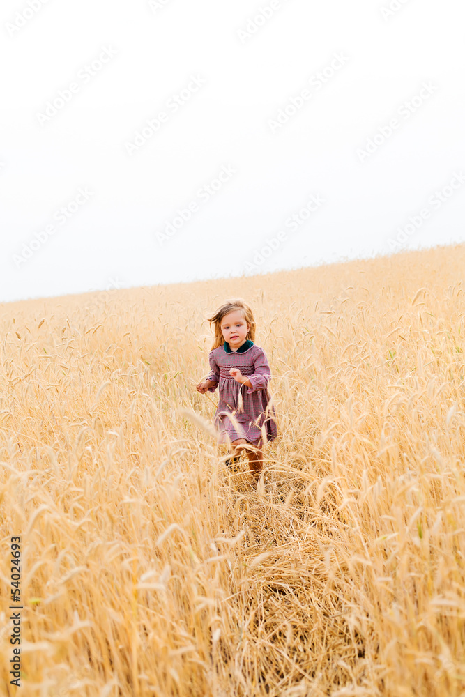 BAby girl at the wheat field BAby girl at the wheat field