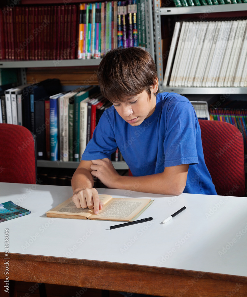 High School Student Studying In Library High School Student Studying In Library