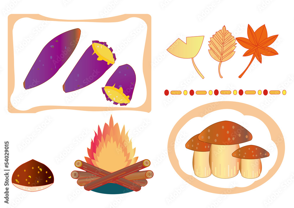 image of autumn 秋のイメージ image of autumn 秋のイメージ
