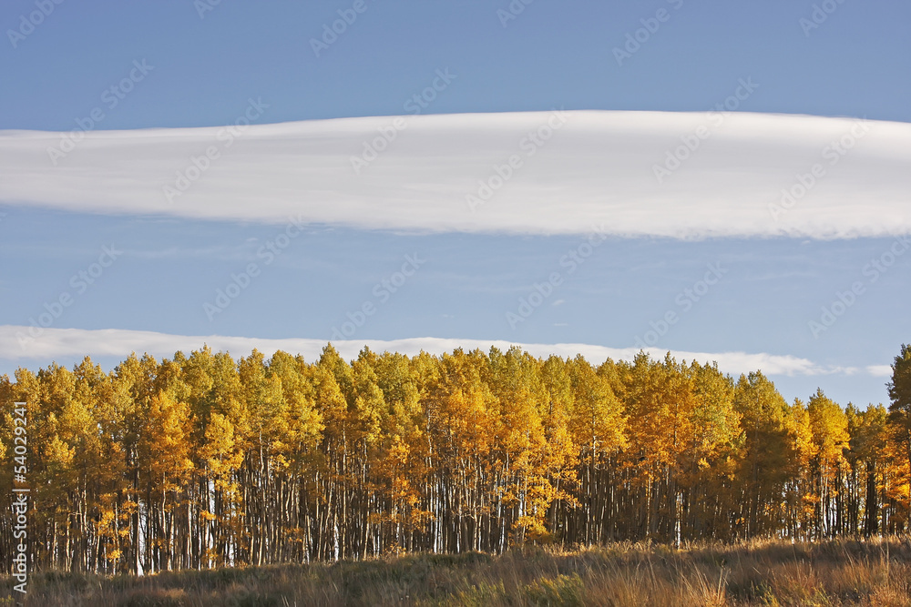 Fototapeta premium Mount Sneffels Range, Colorado