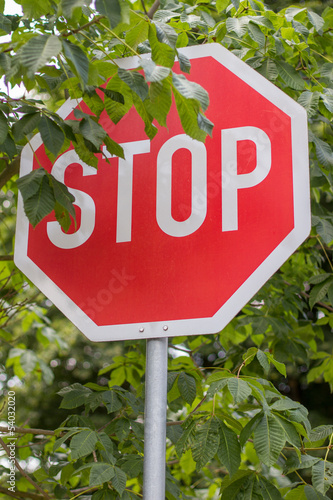 stop sign photo