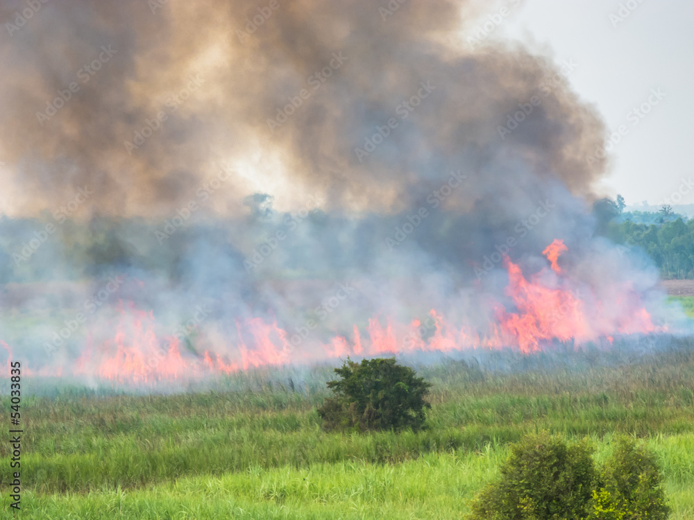Burned fields, red flames, black smoke, incomplete combustion. Burned fields, red flames, black smoke, incomplete combustion.