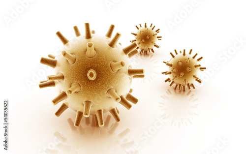 adeno virus photo