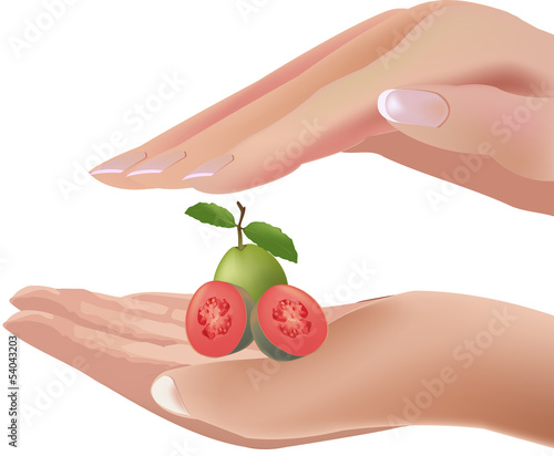 guava