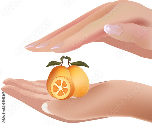 mandarino