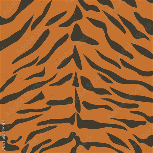 Tiger skin