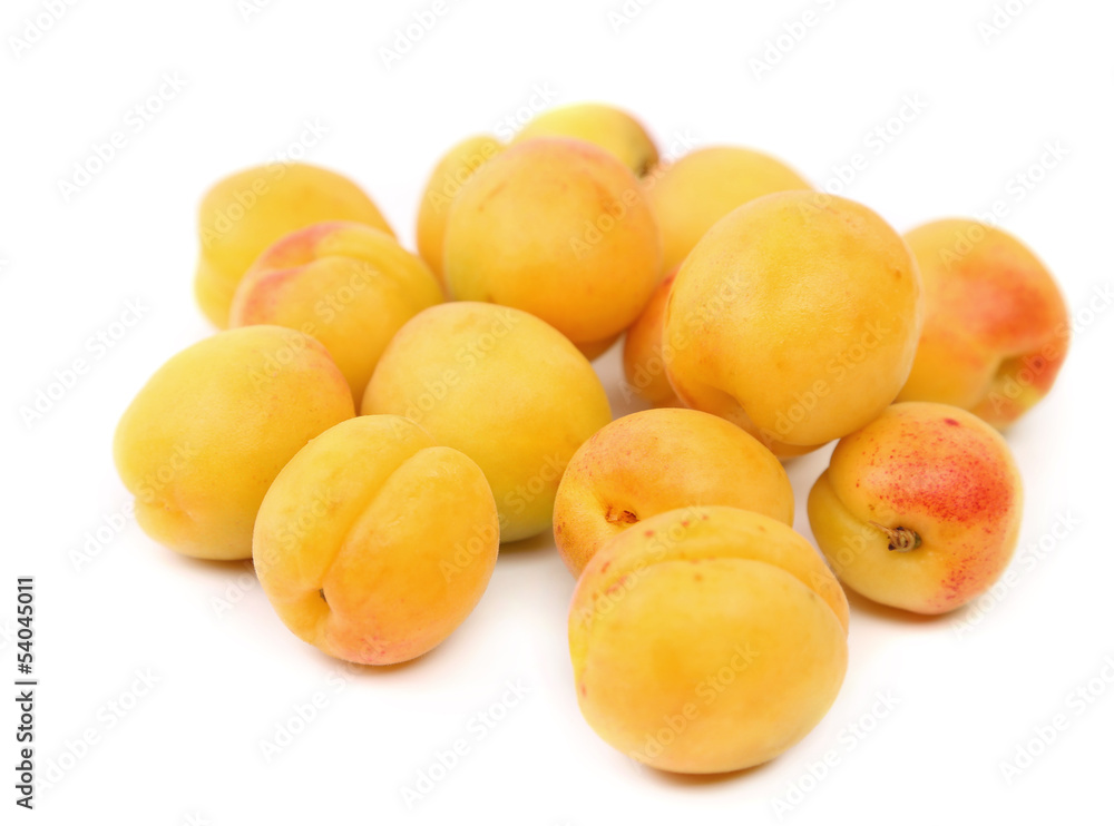 lot of fresh apricots isolated lot of fresh apricots isolated