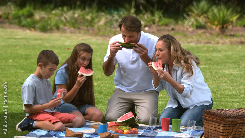 Family eating a watermelon while having a picnic