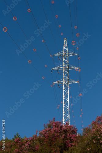 Tower and power line with diverter photo