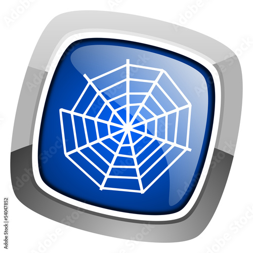 spider web icon