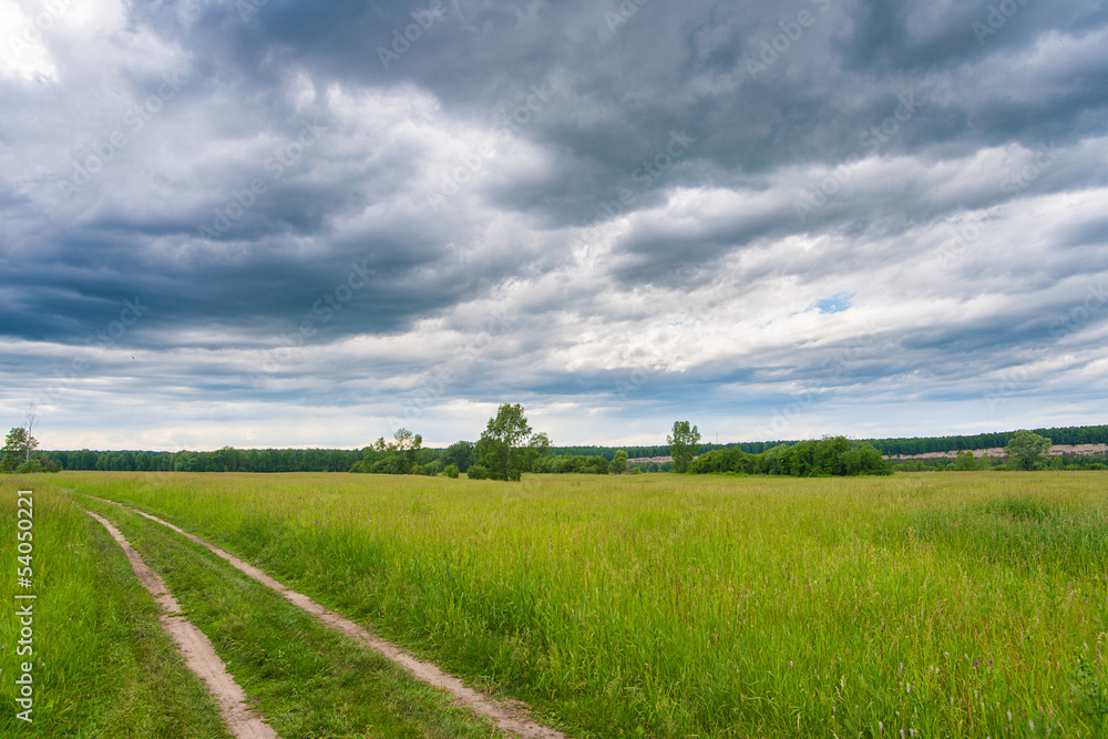 Peaceful summer rural landscape