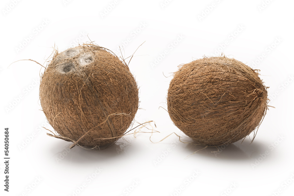 Coconut Coconut