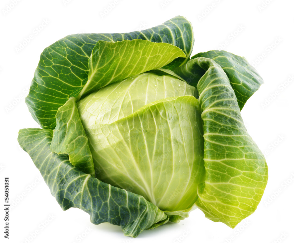 Fototapeta premium Fresh organic cabbage isolated on white