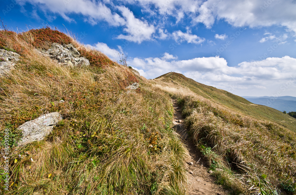 Landscape in Carpathians mountains