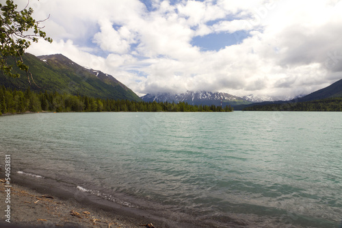 Kenai river view