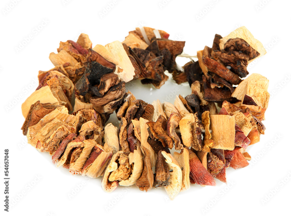 Dried mushrooms on string isolated on white Dried mushrooms on string isolated on white