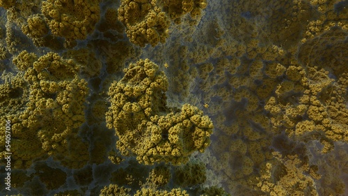 Fototapeta Naklejka Na Ścianę i Meble -  3D fractal abstract background with an organic structure