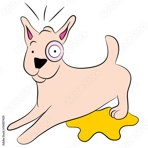 Puppy Accident