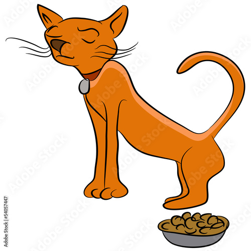 Finicky Cat