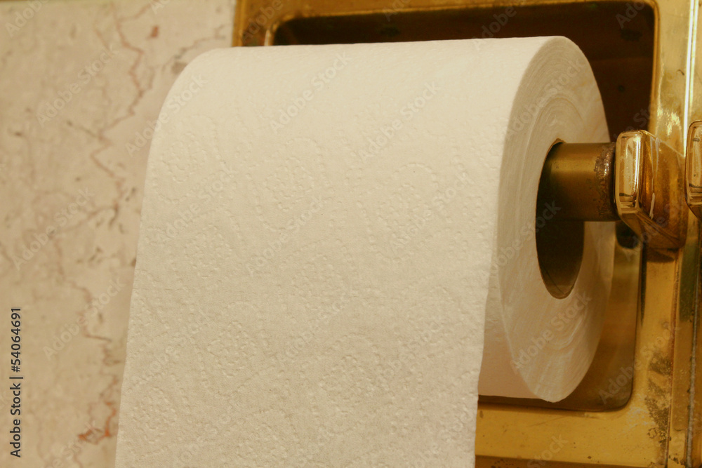 Fototapeta toilet paper roll with holder