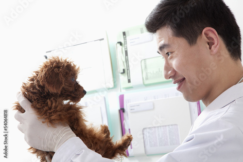 Veterinarian holding dog in office