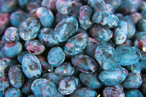 Honeysuckle berries