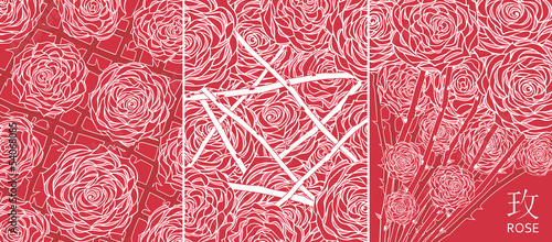 chinese rose composition