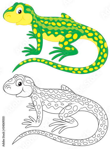 Lizard