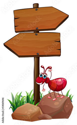 An ant above a rock beside the empty wooden arrowboards