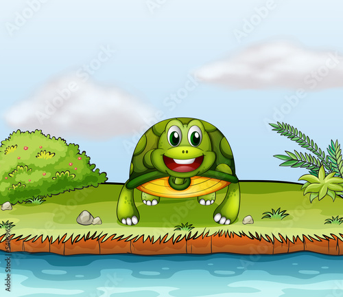 A turtle at the riverside