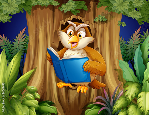 An owl reading a book at the tree
