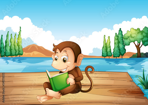 A monkey reading a book sitting at the port