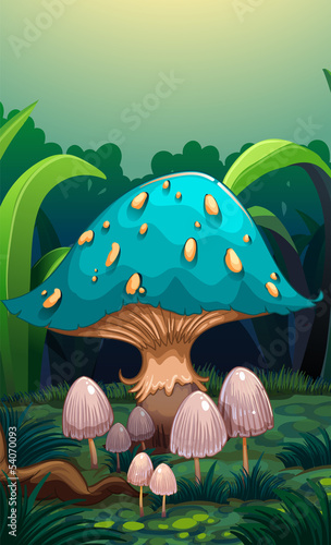 A giant mushroom surrounded with small mushrooms