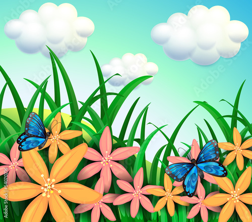 Butterflies and flowers at the garden