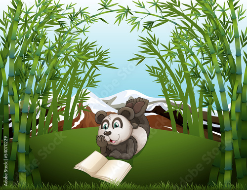 A panda reading at the hilltop with bamboos