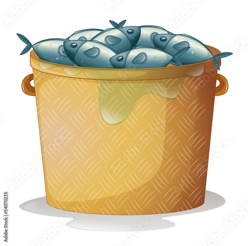 A bucket of fish