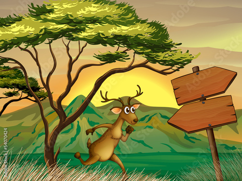 A deer following the wooden arrowboard