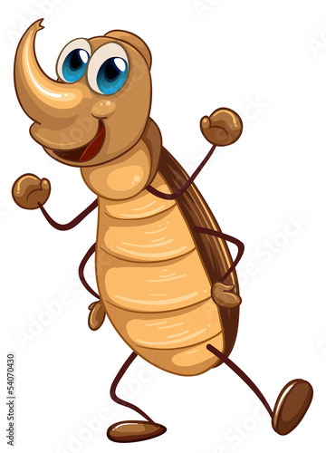 A cockroach