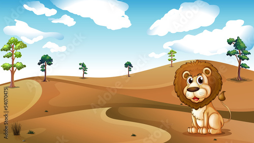 A lion sitting at the desert