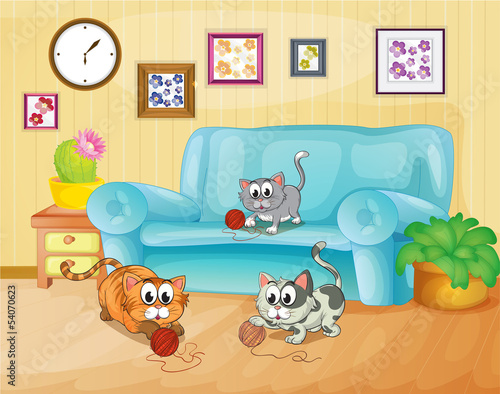 Three cats playing inside the house