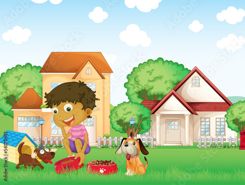 A boy feeding his puppies