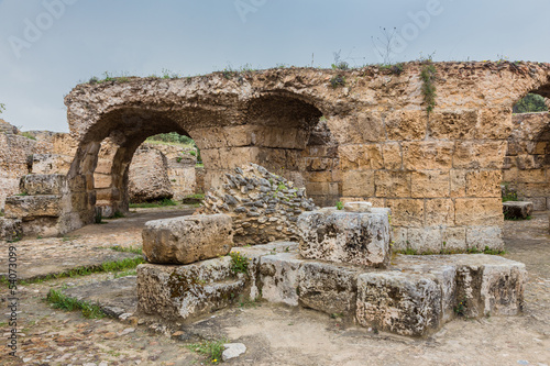 Wallpaper Mural ancient ruins of Carthage, Tunisia Torontodigital.ca