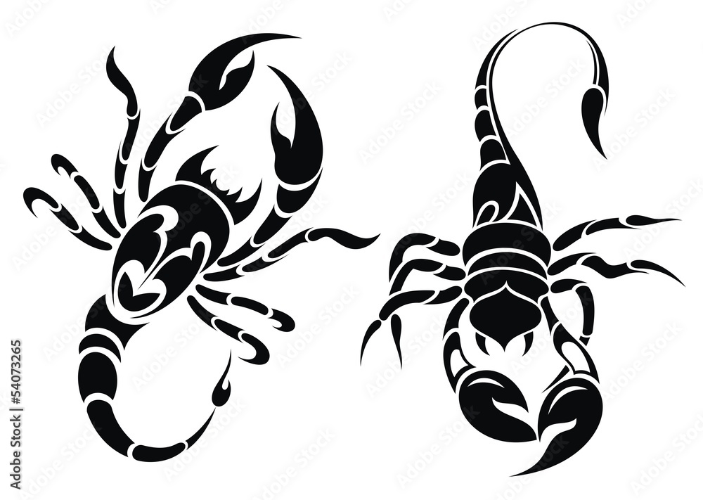 graphic vector illustration of tribal art tattoo symbol scorpion 32164309  Vector Art at Vecteezy