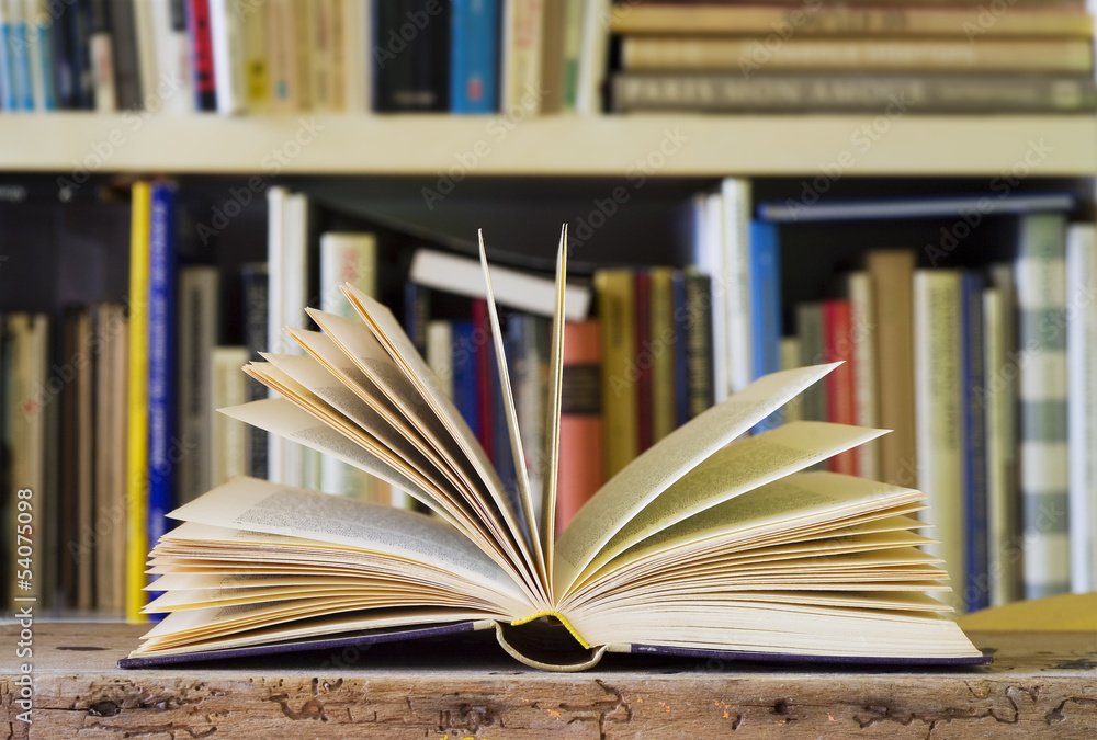 opened book, bookshelf in the back, swallow depth of field opened book, bookshelf in the back, swallow depth of field