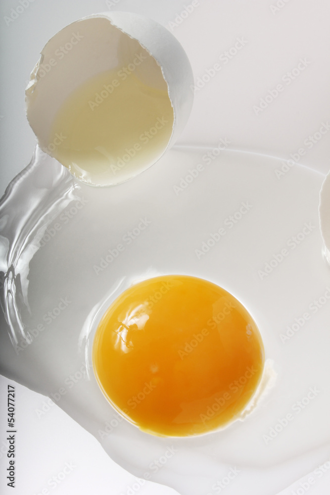 Egg Egg