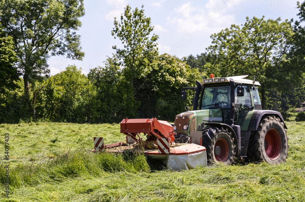 Obraz premium Heuernte, Traktor mit Frontmäher