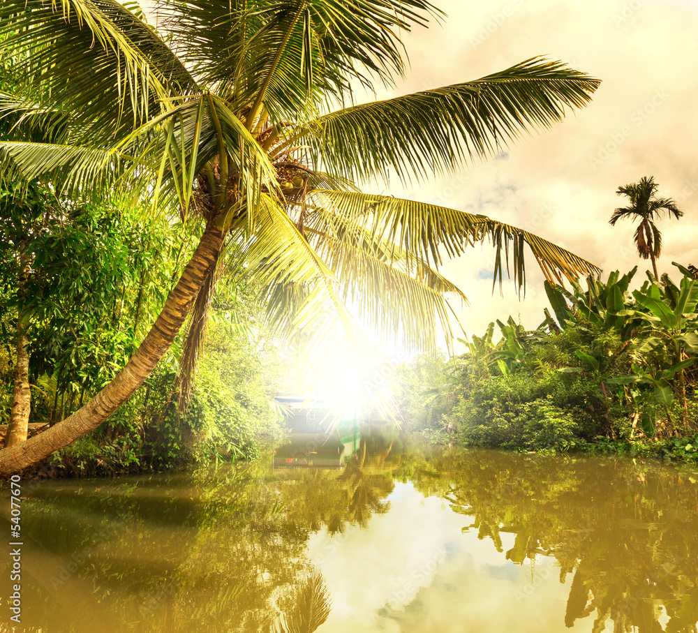 Naklejka premium Tropical river